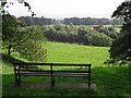 Bench with a view, Rickerby Park