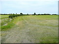 Grassland near Hinton Cross 2