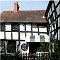 The Olive Tree, Ledbury