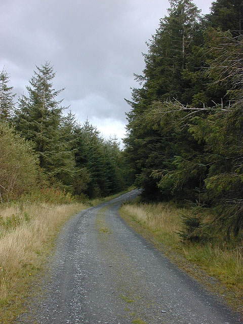 Forestry track on Mynydd y Groes