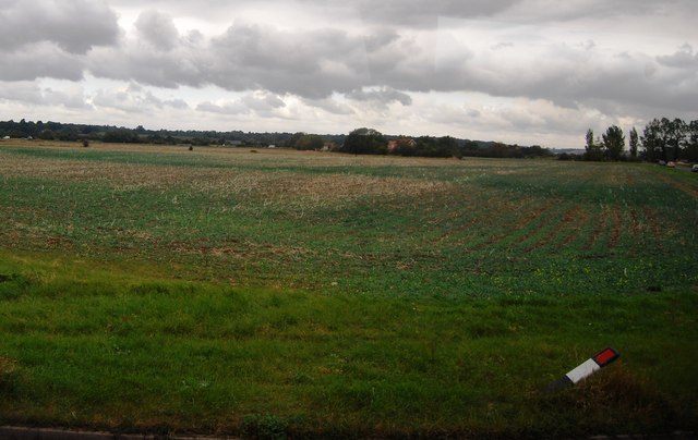Arable field off Camber Rd