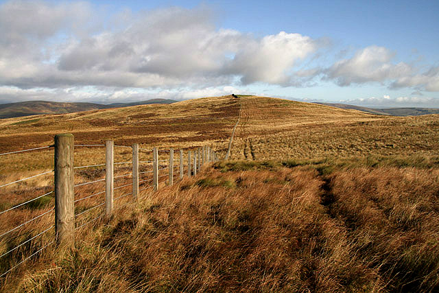 A fence leading to Rough Knowe