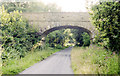 Bridge over disused railway