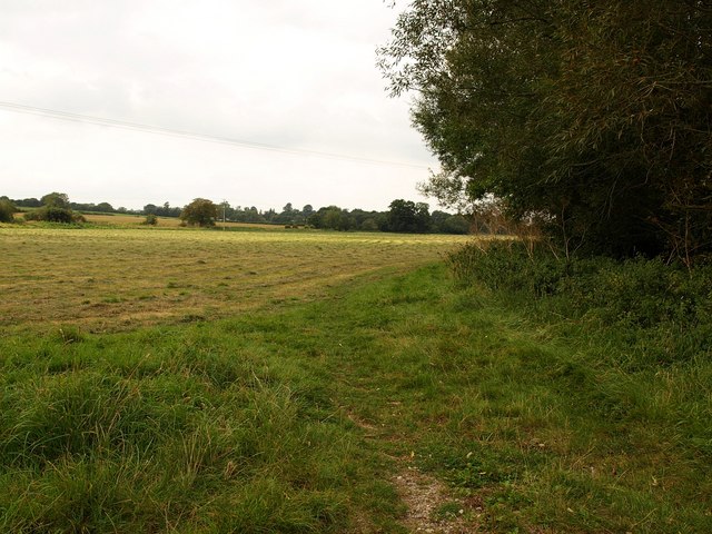 Field by the Parrett