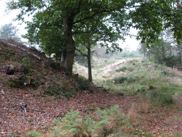 Holmbury Hill Fort