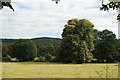 View Towards Box Hill, Surrey