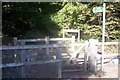 Footpath into Darland Banks