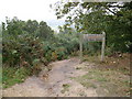 Bridleway warning on Holmbury Hill