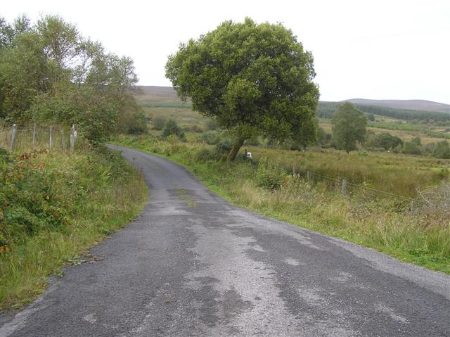 Road at Ardvarney
