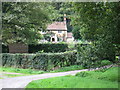 Cottage in the trees