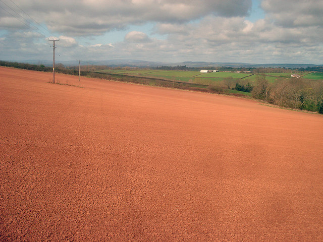 Arable field north of Docklow