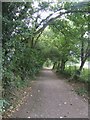 Course of the Shrewsbury Canal