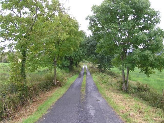 Road at Carrickleitrim
