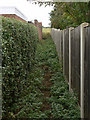 Footpath off Armroyd Lane