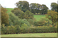 Hillside looking towards Crowthers Coppice