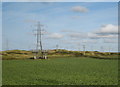 Cabbage field and pylons at Riviere Towans