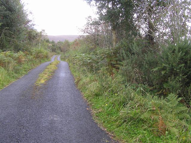 Road at Boihy
