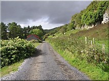 G8037 : Road at Doonkelly by Kenneth  Allen