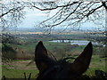 View  Towards Witcombe reservoir and the Severn Vale