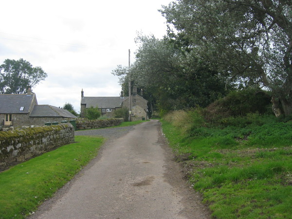 Road from Harehope Farm