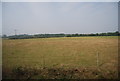 Field west of the railway line, Yalding