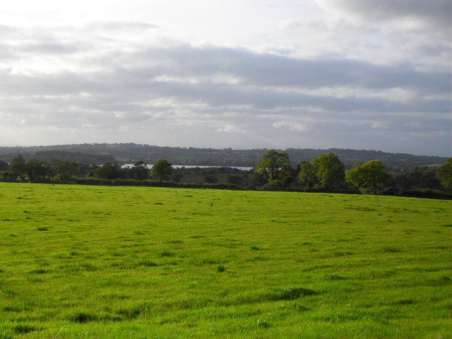 Looking towards the Reservoir, Mullaghglass