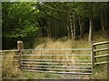 Llanigon: gated woodland track (apparently disused)