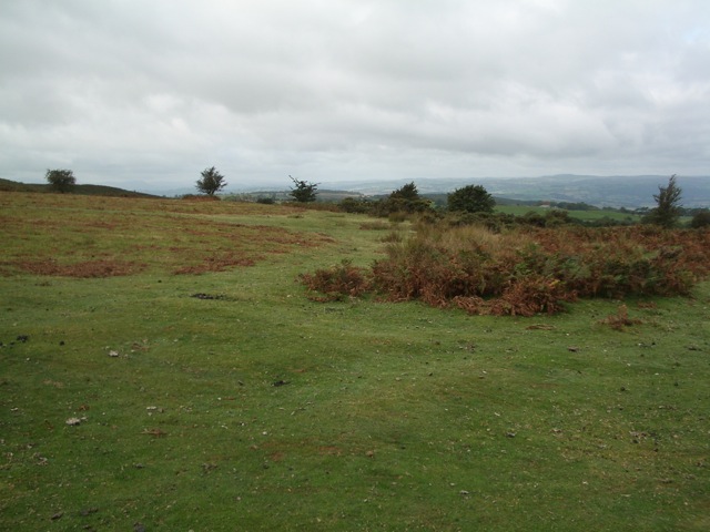 Common land on the northern flank of Twmpa