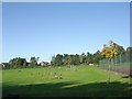 Recreation Ground - Bogs Lane