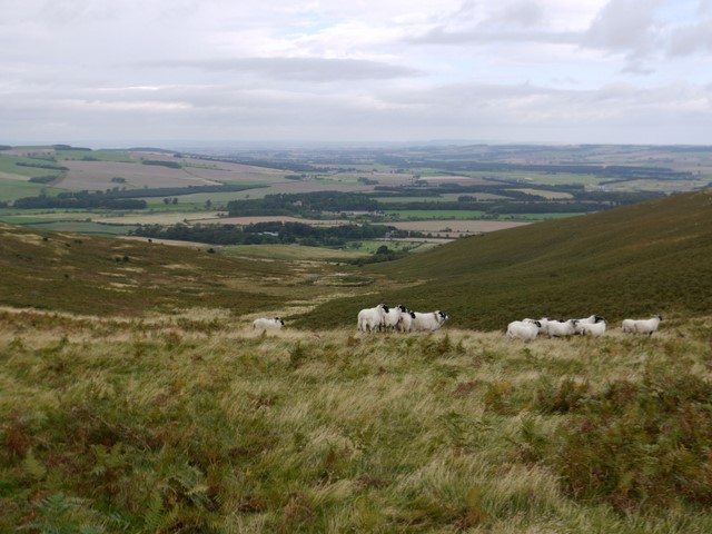 Valley west of White Law
