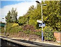 Brinnington Station