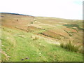 The old road - across the moors