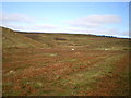 The valley of a tributary of the Nant y Ddwy Wern