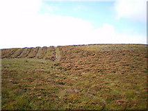 SH9720 : Heather moor management on Cefn Tre-ysbyty by Richard Law