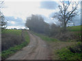 Entrance lane to Uphampton Farm - 3