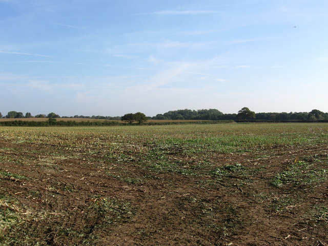 Denshire Field