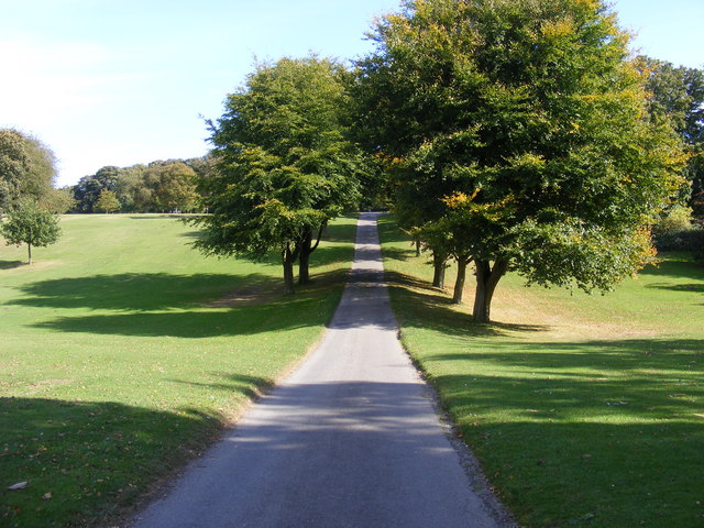 Track through Sewerby Hall Park