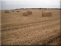 Bales, Auchmithie