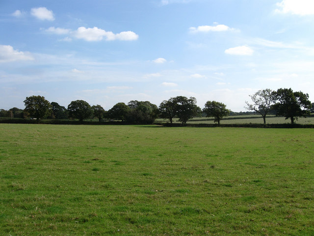 Flat Field