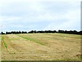 Black Abbey Townland