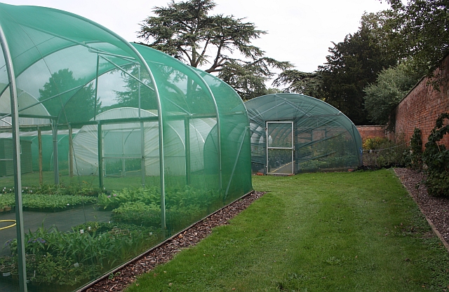 Netted enclosures, Hanbury Hall