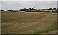 Field of stubble by Shutterton Lane