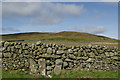 A view towards Ewe Hill from the Grobdale to Girthon track