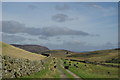 Track leading to Grobdale of Girthon