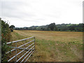 SJ2104 : Stubble field near Sarn roundabout by John Firth