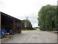 Lane through the middle of the farm