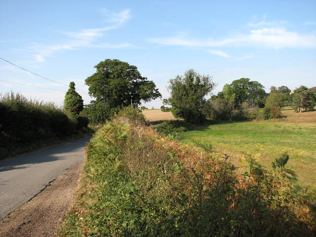 View along Thorpe Road