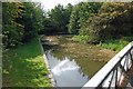 Dudley No 1 Canal