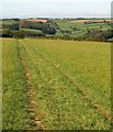 Footpath to Furzedown Wood