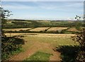 Countryside at Torr Down